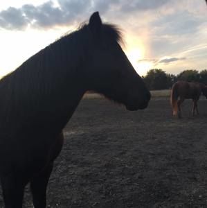 Meet your Posher, Kendyll